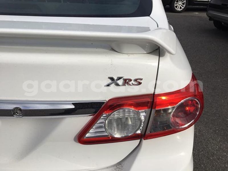 Big with watermark 50243772 238599870398792 5436887186043568128 n