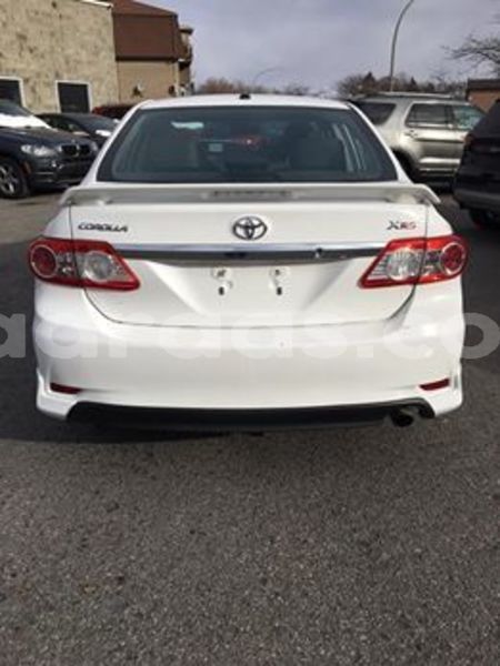 Big with watermark 49896565 238599777065468 2920959403483987968 n