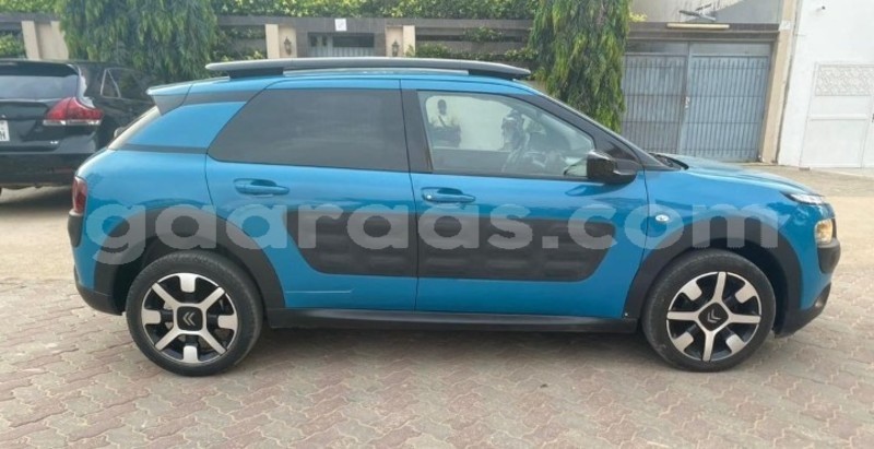 Big with watermark citroen c4 cactus dakar dakar 21445