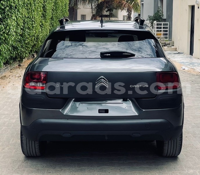 Big with watermark citroen c4 cactus dakar dakar 21484