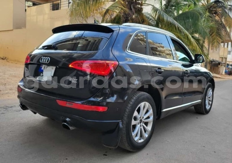 Big with watermark audi q5 dakar dakar 21494