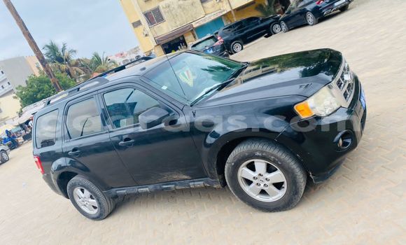 Dieundeu Occasion Ford Escape Black Auto in Dakar in Dakar Dieundeu Occasion Ford Escape Black Auto in Dakar in Dakar