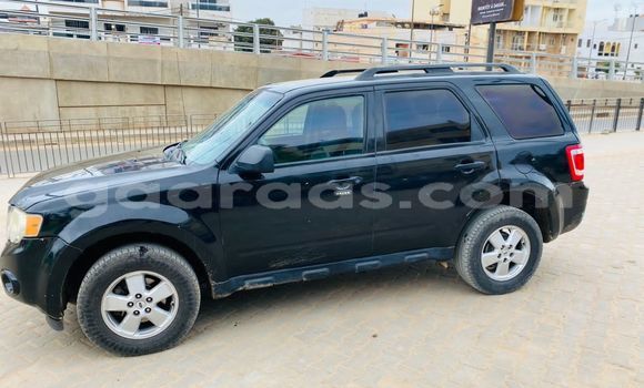 Dieundeu Occasion Ford Escape Black Auto in Dakar in Dakar Dieundeu Occasion Ford Escape Black Auto in Dakar in Dakar