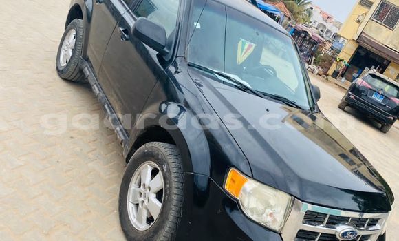 Dieundeu Occasion Ford Escape Black Auto in Dakar in Dakar Dieundeu Occasion Ford Escape Black Auto in Dakar in Dakar