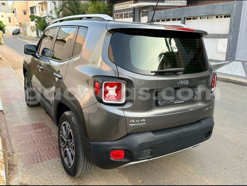 Big with watermark jeep renegade dakar dakar 21673