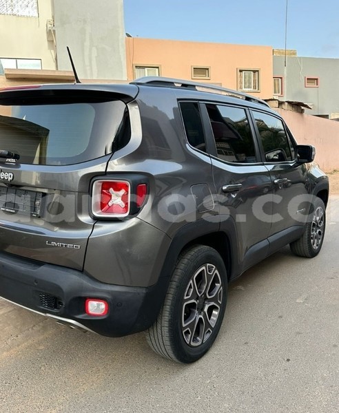 Big with watermark jeep renegade dakar dakar 21673