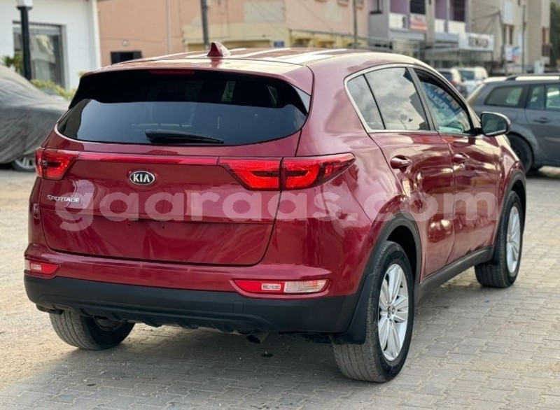 Big with watermark kia sportage dakar dakar 21691