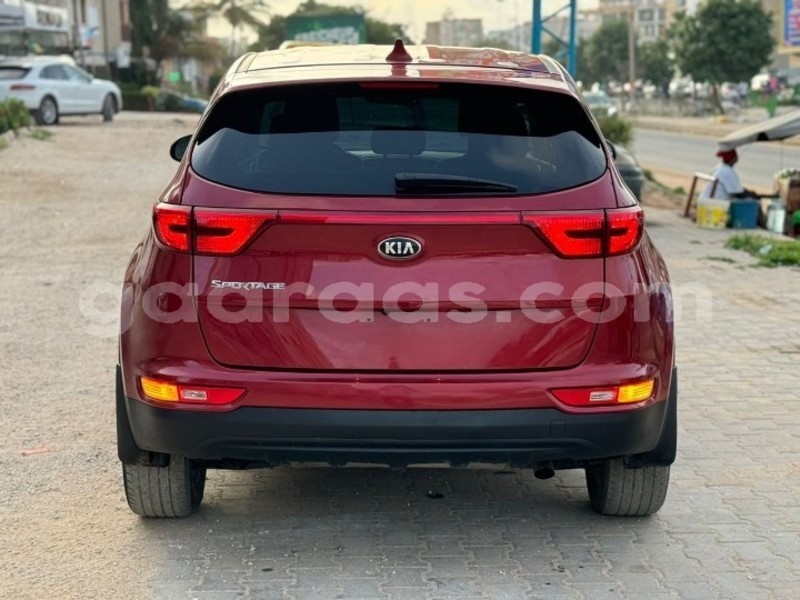 Big with watermark kia sportage dakar dakar 21691