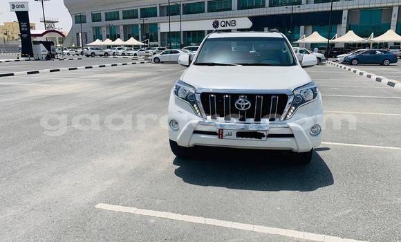 Buy Used Toyota Land Cruiser Prado Green Car in Dakar in Dakar Buy Used Toyota Land Cruiser Prado Green Car in Dakar in Dakar