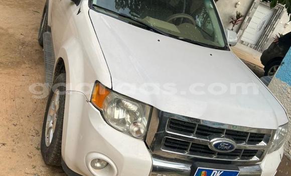 Dieundeu Occasion Ford Escape White Auto in Dakar in Dakar Dieundeu Occasion Ford Escape White Auto in Dakar in Dakar