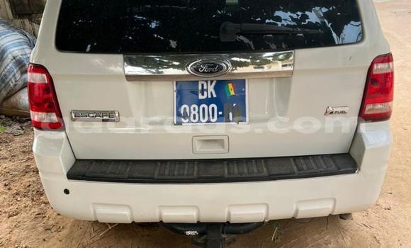 Dieundeu Occasion Ford Escape White Auto in Dakar in Dakar Dieundeu Occasion Ford Escape White Auto in Dakar in Dakar