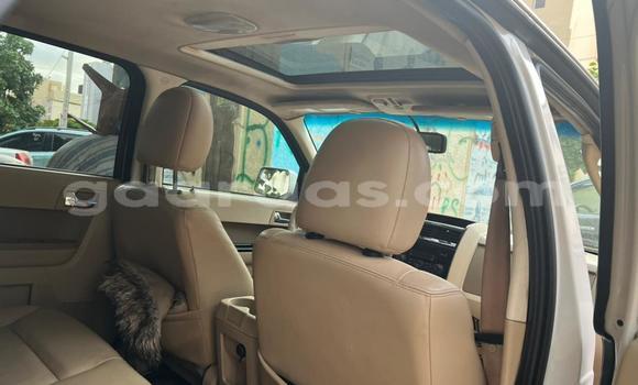 Dieundeu Occasion Ford Escape White Auto in Dakar in Dakar Dieundeu Occasion Ford Escape White Auto in Dakar in Dakar