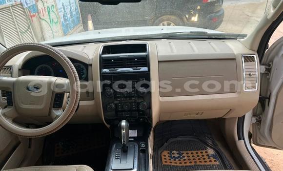 Dieundeu Occasion Ford Escape White Auto in Dakar in Dakar Dieundeu Occasion Ford Escape White Auto in Dakar in Dakar