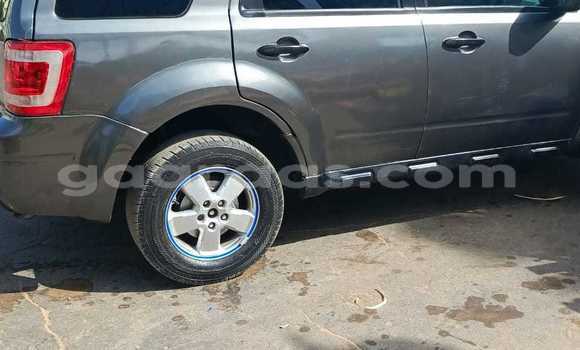 Dieundeu Occasion Ford Escape Silver Auto in Dakar in Dakar Dieundeu Occasion Ford Escape Silver Auto in Dakar in Dakar