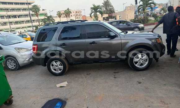 Dieundeu Occasion Ford Escape Silver Auto in Dakar in Dakar Dieundeu Occasion Ford Escape Silver Auto in Dakar in Dakar