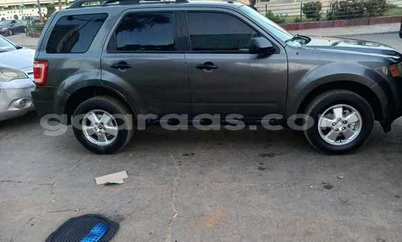 Dieundeu Occasion Ford Escape Silver Auto in Dakar in Dakar Dieundeu Occasion Ford Escape Silver Auto in Dakar in Dakar