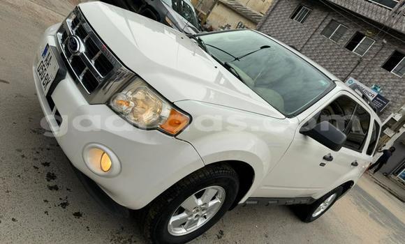 Dieundeu Occasion Ford Escape White Auto in Dakar in Dakar Dieundeu Occasion Ford Escape White Auto in Dakar in Dakar