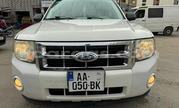 Dieundeu Occasion Ford Escape White Auto in Dakar in Dakar Dieundeu Occasion Ford Escape White Auto in Dakar in Dakar