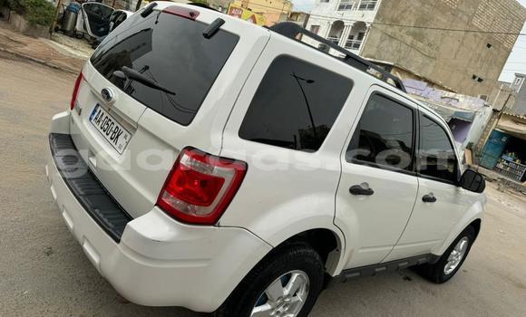 Dieundeu Occasion Ford Escape White Auto in Dakar in Dakar Dieundeu Occasion Ford Escape White Auto in Dakar in Dakar