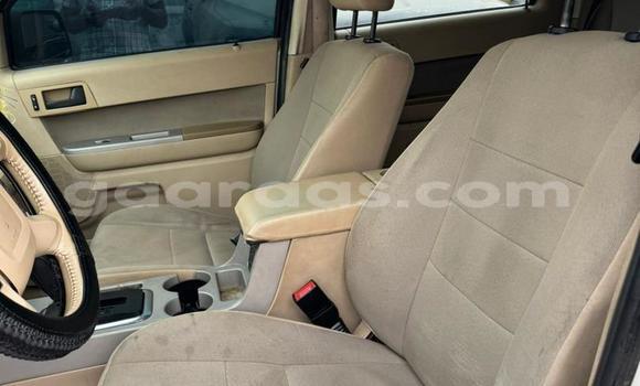 Dieundeu Occasion Ford Escape White Auto in Dakar in Dakar Dieundeu Occasion Ford Escape White Auto in Dakar in Dakar