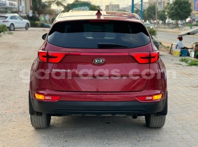 Big with watermark kia sportage dakar dakar 22245