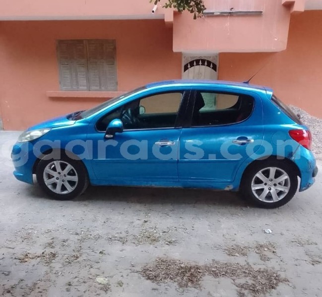 Big with watermark peugeot 207 dakar dakar 22273