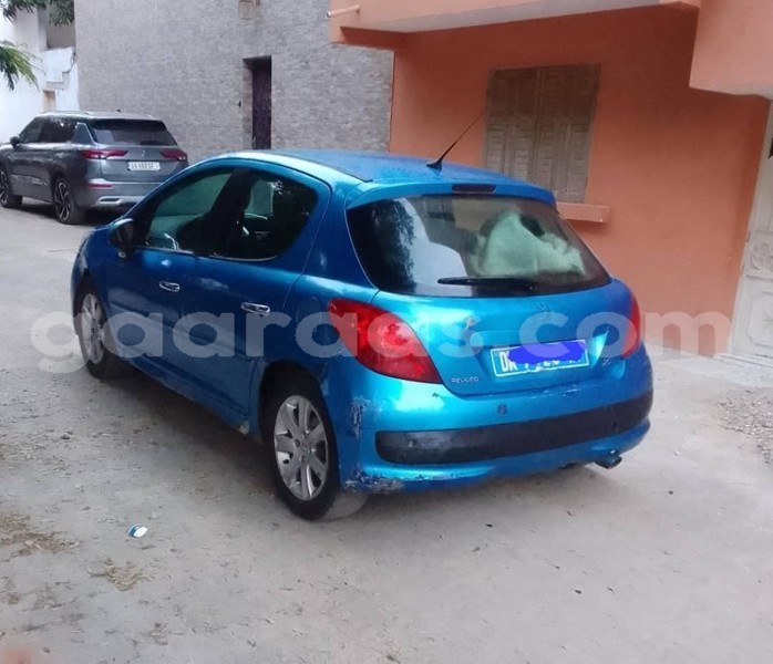 Big with watermark peugeot 207 dakar dakar 22273