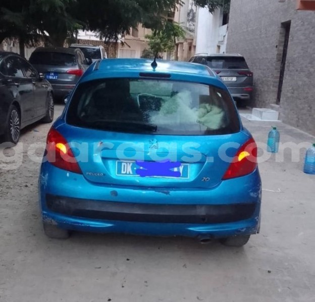 Big with watermark peugeot 207 dakar dakar 22273