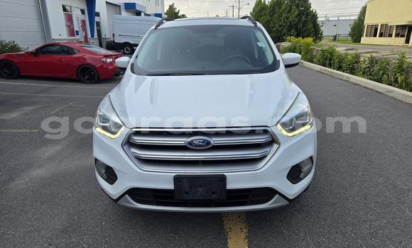 Buy Import Ford Escape White Car in Dakar in Dakar