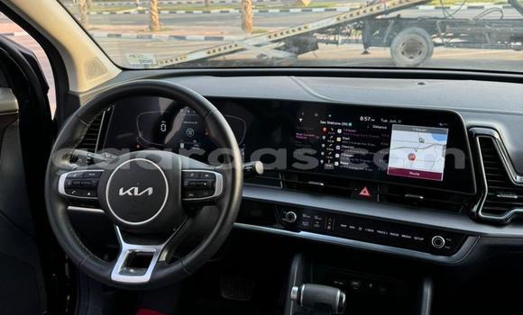 Buy Import Kia Sportage Black Car in Dakar in Dakar Buy Import Kia Sportage Black Car in Dakar in Dakar