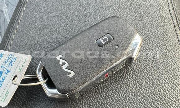 Buy Import Kia Sportage Black Car in Dakar in Dakar Buy Import Kia Sportage Black Car in Dakar in Dakar