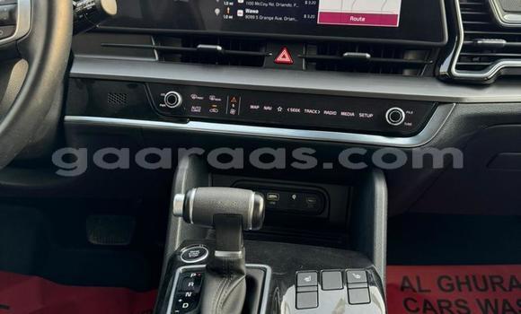 Buy Import Kia Sportage Black Car in Dakar in Dakar Buy Import Kia Sportage Black Car in Dakar in Dakar