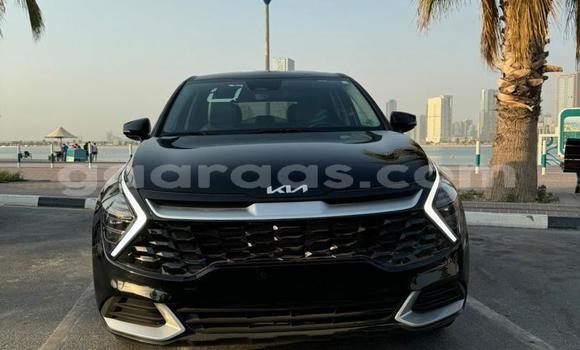 Buy Import Kia Sportage Black Car in Dakar in Dakar Buy Import Kia Sportage Black Car in Dakar in Dakar