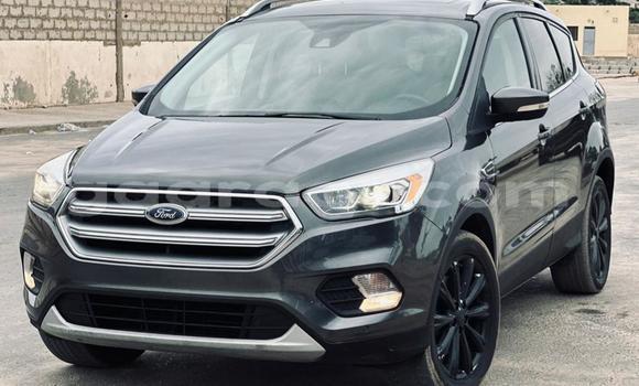 Acheter Import Voiture Ford Escape Gris à Dakar, Dakar Acheter Import Voiture Ford Escape Gris à Dakar, Dakar