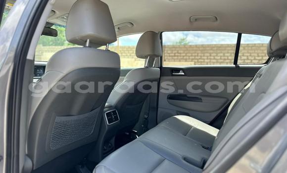 Buy Import Kia Sportage Silver Car in Dakar in Dakar Buy Import Kia Sportage Silver Car in Dakar in Dakar