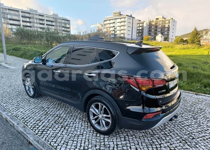 Big with watermark hyundai santa fe dakar damniadio 22538