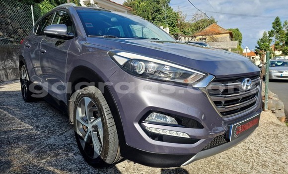 Dieundeu Occasion Hyundai Tucson Silver Auto in Dakar in Dakar Dieundeu Occasion Hyundai Tucson Silver Auto in Dakar in Dakar