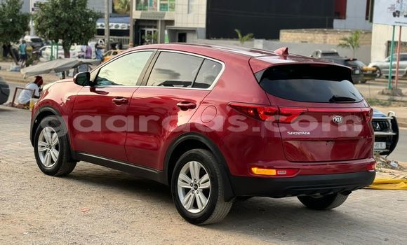Buy Import Kia Sportage Red Car in Dakar in Dakar Buy Import Kia Sportage Red Car in Dakar in Dakar