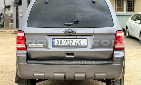 Dieundeu Occasion Ford Escape Silver Auto in Dakar in Dakar Dieundeu Occasion Ford Escape Silver Auto in Dakar in Dakar