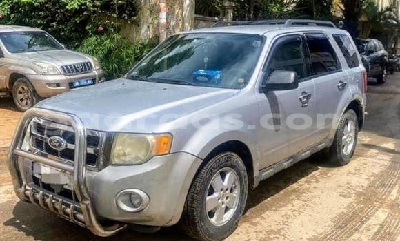 Buy Used Ford Escape Silver Car in Dakar in Dakar Buy Used Ford Escape Silver Car in Dakar in Dakar