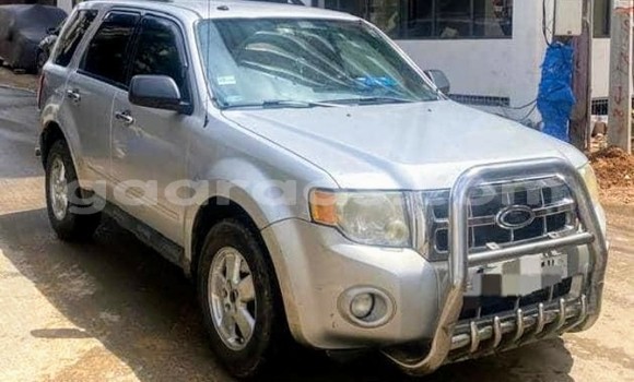 Buy Used Ford Escape Silver Car in Dakar in Dakar Buy Used Ford Escape Silver Car in Dakar in Dakar