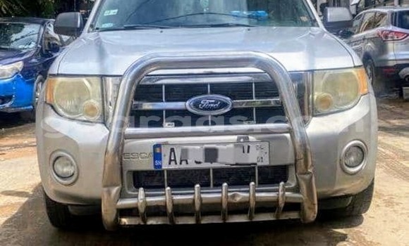 Buy Used Ford Escape Silver Car in Dakar in Dakar Buy Used Ford Escape Silver Car in Dakar in Dakar