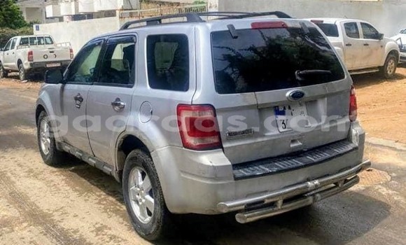 Buy Used Ford Escape Silver Car in Dakar in Dakar Buy Used Ford Escape Silver Car in Dakar in Dakar