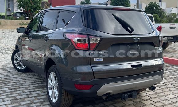 Buy Import Ford Escape Silver Car in Dakar in Dakar Buy Import Ford Escape Silver Car in Dakar in Dakar