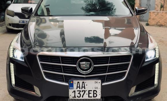 Buy Import Cadillac CTS Black Car in Dakar in Dakar