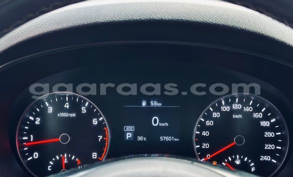 Buy Import Kia Sportage Black Car in Dakar in Dakar Buy Import Kia Sportage Black Car in Dakar in Dakar