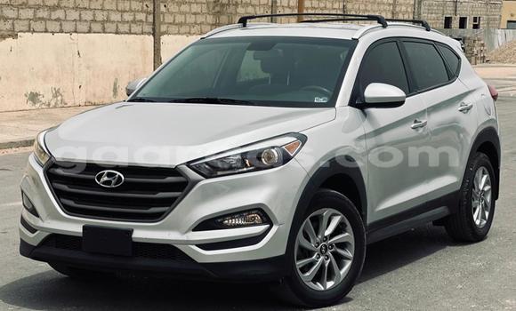 Buy Import Hyundai Tucson White Car in Dakar in Dakar Buy Import Hyundai Tucson White Car in Dakar in Dakar