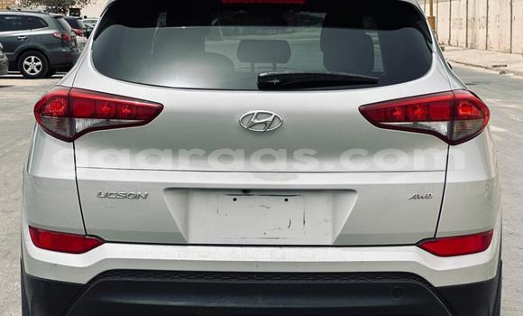 Buy Import Hyundai Tucson White Car in Dakar in Dakar Buy Import Hyundai Tucson White Car in Dakar in Dakar