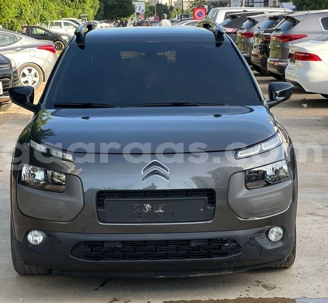 Big with watermark citroen c4 cactus dakar dakar 22921