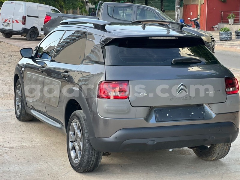 Big with watermark citroen c4 cactus dakar dakar 22921